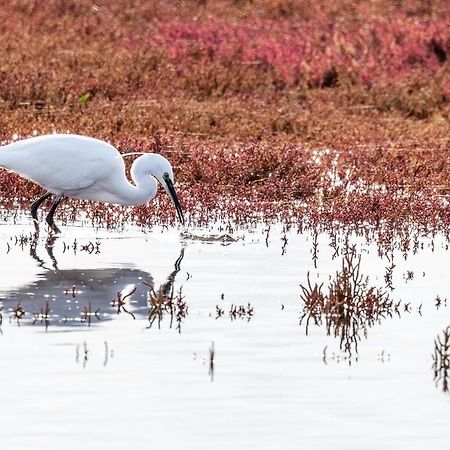 Heerenkeet 4 Pers Appartement Aan De Oosterschelde Kerkwerve Zewnętrze zdjęcie