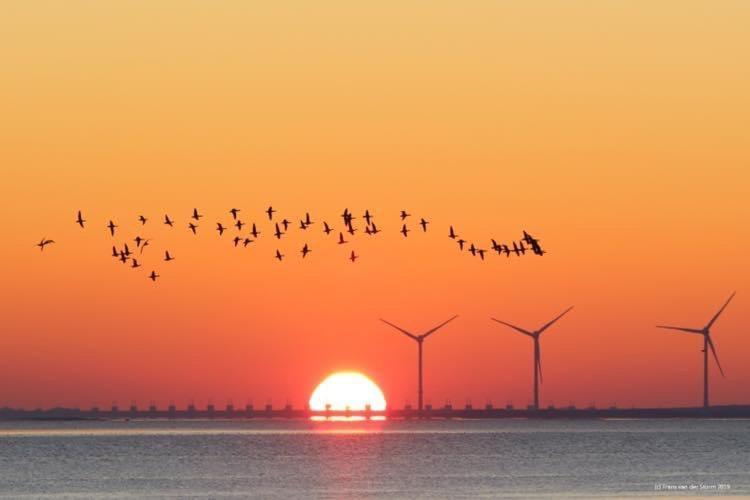 Heerenkeet 4 Pers Appartement Aan De Oosterschelde Kerkwerve Zewnętrze zdjęcie